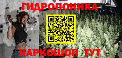 кокс Шебекино
