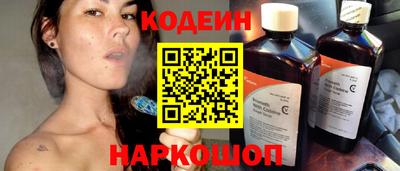 дурь Шелехов