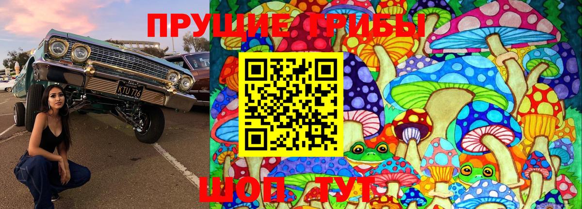Ачинск  закладки  Вход с VPN  Галлюциногенные грибы Psilocybine cubensis 