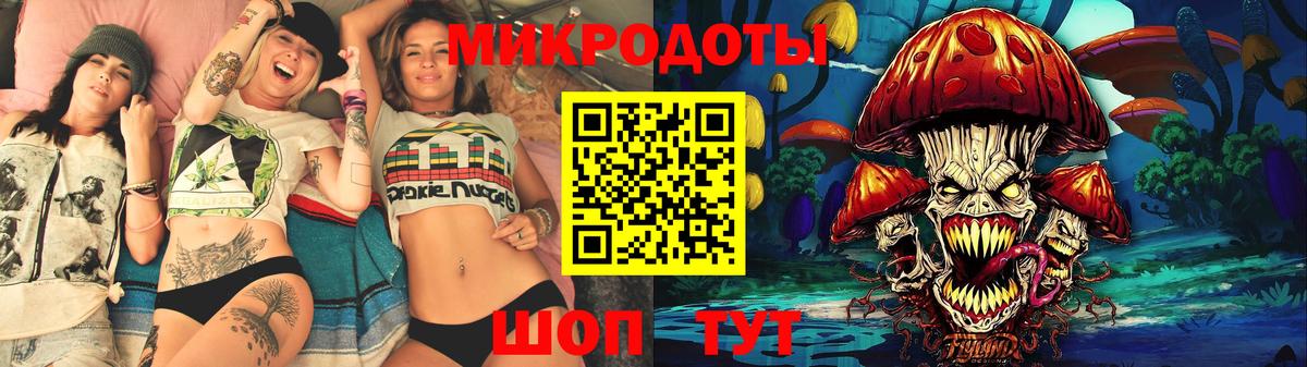 Галлюциногенные грибы Psilocybe Ачинск